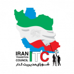 شورای مدیریت گذار